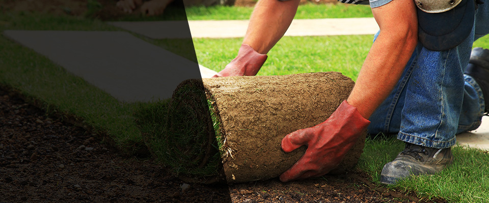 Eldridge Landscapers